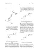 IAP ANTAGONISTS diagram and image