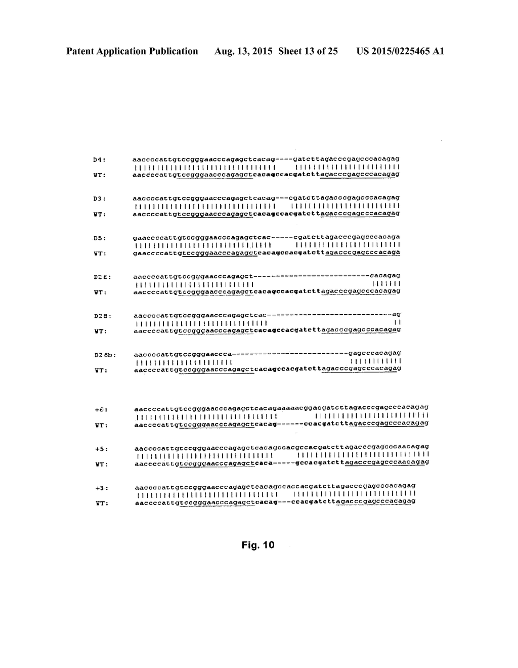 NEW MODULAR BASE-SPECIFIC NUCLEIC ACID BINDING DOMAINS FROM BURKHOLDERIA     RHIZOXINICA PROTEINS - diagram, schematic, and image 14