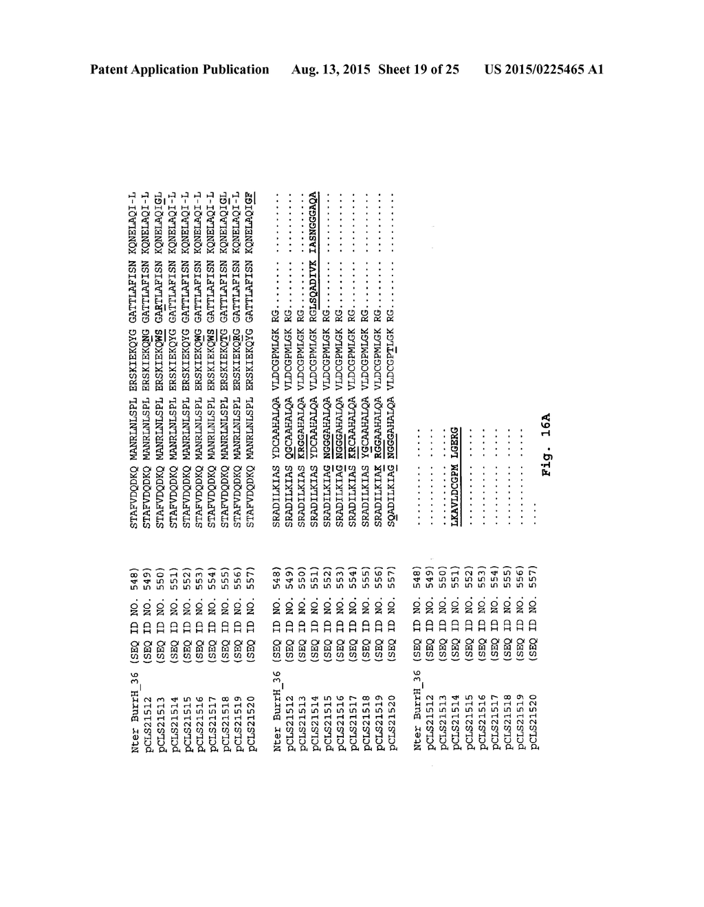 NEW MODULAR BASE-SPECIFIC NUCLEIC ACID BINDING DOMAINS FROM BURKHOLDERIA     RHIZOXINICA PROTEINS - diagram, schematic, and image 20