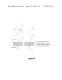 Antisense Polynucleotides to Induce Exon Skipping and Methods of Treating     Dystrophies diagram and image
