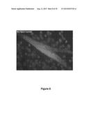 Antisense Polynucleotides to Induce Exon Skipping and Methods of Treating     Dystrophies diagram and image