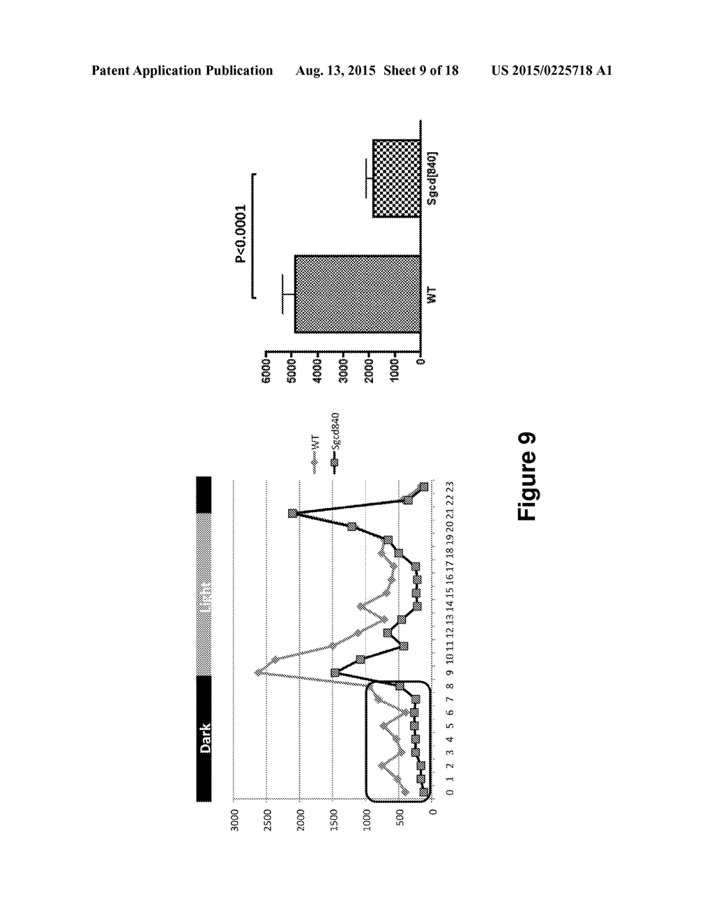 Antisense Polynucleotides to Induce Exon Skipping and Methods of Treating     Dystrophies - diagram, schematic, and image 10