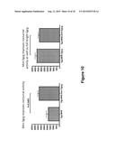 Antisense Polynucleotides to Induce Exon Skipping and Methods of Treating     Dystrophies diagram and image