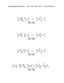 METHODS AND COMPOSITIONS FOR SYNTHESIS OF NUCLEIC ACID MOLECULES USING     MULTIPLERECOGNITION SITES diagram and image