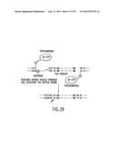 METHODS AND COMPOSITIONS FOR SYNTHESIS OF NUCLEIC ACID MOLECULES USING     MULTIPLERECOGNITION SITES diagram and image