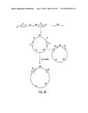 METHODS AND COMPOSITIONS FOR SYNTHESIS OF NUCLEIC ACID MOLECULES USING     MULTIPLERECOGNITION SITES diagram and image