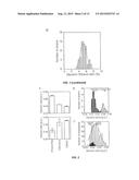 MUTANT YEAST STRAIN WITH DECREASED GLYCEROL PRODUCTION diagram and image