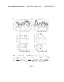 MUTANT YEAST STRAIN WITH DECREASED GLYCEROL PRODUCTION diagram and image