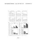 MUTANT YEAST STRAIN WITH DECREASED GLYCEROL PRODUCTION diagram and image