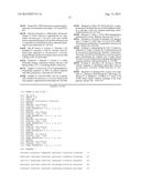 MUTANT YEAST STRAIN WITH DECREASED GLYCEROL PRODUCTION diagram and image