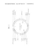 ACID RESISTANT YEAST CELL AND USE THEREOF diagram and image