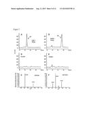 GENETICALLY MODIFIED CELLS AND METHODS FOR MAKING ACTIVATED     SUGAR-NUCLEOTIDES diagram and image