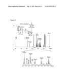 GENETICALLY MODIFIED CELLS AND METHODS FOR MAKING ACTIVATED     SUGAR-NUCLEOTIDES diagram and image