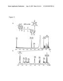 GENETICALLY MODIFIED CELLS AND METHODS FOR MAKING ACTIVATED     SUGAR-NUCLEOTIDES diagram and image