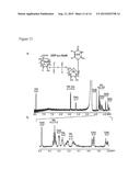 GENETICALLY MODIFIED CELLS AND METHODS FOR MAKING ACTIVATED     SUGAR-NUCLEOTIDES diagram and image