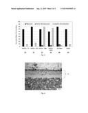 METHOD & STEEL COMPONENT diagram and image