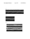 METHOD FOR NON-DESTRUCTIVE TESTING OF SYNTHETIC ROPES AND ROPE SUITABLE     FOR USE THEREIN diagram and image