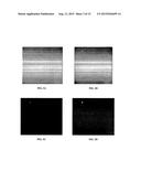 SYSTEMS AND METHODS FOR DETECTION OF PARTICLES IN A BENEFICIAL AGENT diagram and image