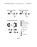 PROTEASE-BASED BIOSENSOR diagram and image