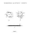 PROTEASE-BASED BIOSENSOR diagram and image