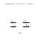 PROTEASE-BASED BIOSENSOR diagram and image