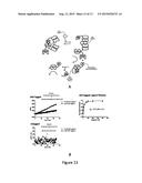 PROTEASE-BASED BIOSENSOR diagram and image