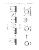 COMPLEX  COMPRSING  BEAD  PARTICLE INCLUDING  QUANTUM  DOT  LAYER  AND     METHOD  OF  DIAGNOSING  MYOCARDIAL INFARCTION-RELATED  DISEASE  BY  USING      THE COMPLEX diagram and image