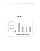 COMPLEX  COMPRSING  BEAD  PARTICLE INCLUDING  QUANTUM  DOT  LAYER  AND     METHOD  OF  DIAGNOSING  MYOCARDIAL INFARCTION-RELATED  DISEASE  BY  USING      THE COMPLEX diagram and image