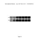 FLUORESCENCE ENHANCING PLASMONIC NANOSCOPIC GOLD FILMS AND ASSAYS BASED     THEREON diagram and image