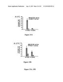 FLUORESCENCE ENHANCING PLASMONIC NANOSCOPIC GOLD FILMS AND ASSAYS BASED     THEREON diagram and image