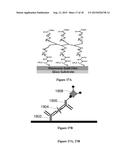 FLUORESCENCE ENHANCING PLASMONIC NANOSCOPIC GOLD FILMS AND ASSAYS BASED     THEREON diagram and image