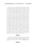 METHOD FOR IDENTIFYING NOVEL MINOR HISTOCOMPATIBILITY ANTIGENS diagram and image