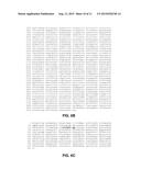 METHOD FOR IDENTIFYING NOVEL MINOR HISTOCOMPATIBILITY ANTIGENS diagram and image