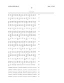 METHOD FOR IDENTIFYING NOVEL MINOR HISTOCOMPATIBILITY ANTIGENS diagram and image