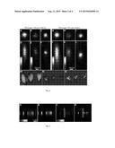 STIMULATED EMISSION DEPLETION MICROSCOPY diagram and image