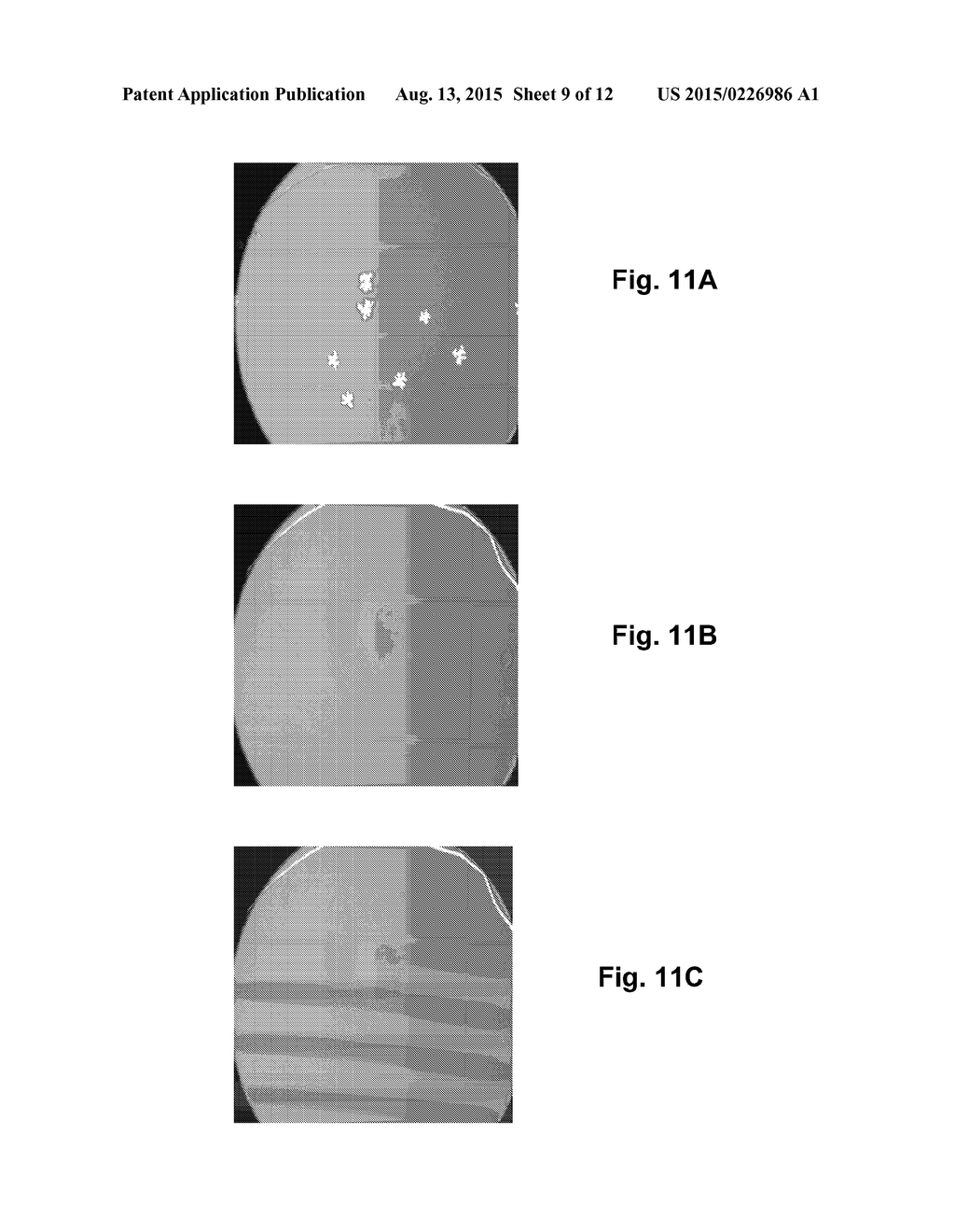 ELECTRO-OPTIC DISPLAYS, AND MATERIALS FOR USE THEREIN - diagram, schematic, and image 10