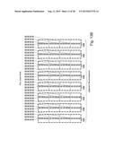 Processor, System, and Method for Efficient, High-Throughput Processing of     Two-Dimensional, Interrelated Data Sets diagram and image