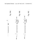 Processor, System, and Method for Efficient, High-Throughput Processing of     Two-Dimensional, Interrelated Data Sets diagram and image