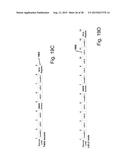 Processor, System, and Method for Efficient, High-Throughput Processing of     Two-Dimensional, Interrelated Data Sets diagram and image