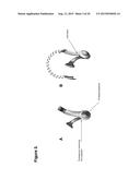 HEADSET diagram and image