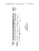 METHOD AND APPARATUS FOR ALLOCATING AND ACQUIRING ACK/NACK RESOURCES IN A     MOBILE COMMUNICATION SYSTEM diagram and image