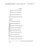 COMPOSITION COMPRISING STREPTOMYCES SCOPULIRIDIS KR-001 STRAIN, OR CULTURE     BROTH THEREOF AS ACTIVE INGREDIENT FOR WEED CONTROL diagram and image