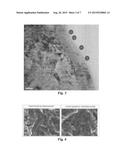 IMPLANT COATED WITH NET-SHAPED OR ISLAND-SHAPED LOW-CRYSTALLIZED     HYDROXYAPATITE AND METHOD FOR COATING SAME diagram and image