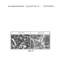 IMPLANT COATED WITH NET-SHAPED OR ISLAND-SHAPED LOW-CRYSTALLIZED     HYDROXYAPATITE AND METHOD FOR COATING SAME diagram and image