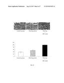 MESENCHYMAL STEM CELL EXTRACT AND ITS USE diagram and image