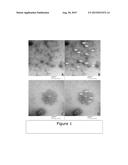 INTERNAL STRUCTURED SELF ASSEMBLING LIPOSOMES diagram and image