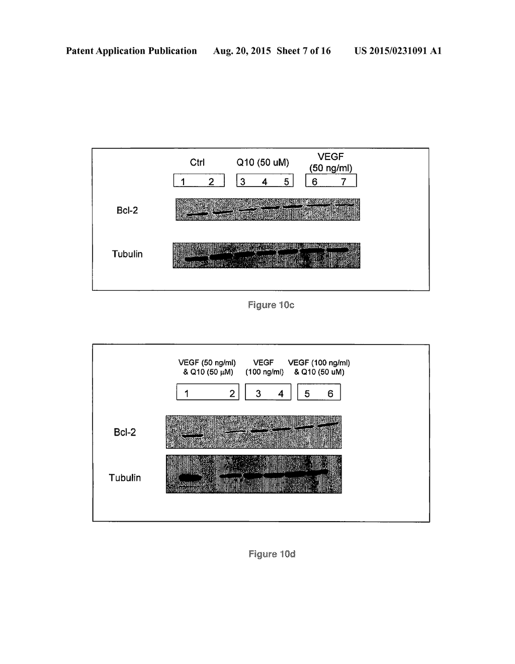 METHODS AND USE OF INDUCING APOPTOSIS IN CANCER CELLS - diagram, schematic, and image 08