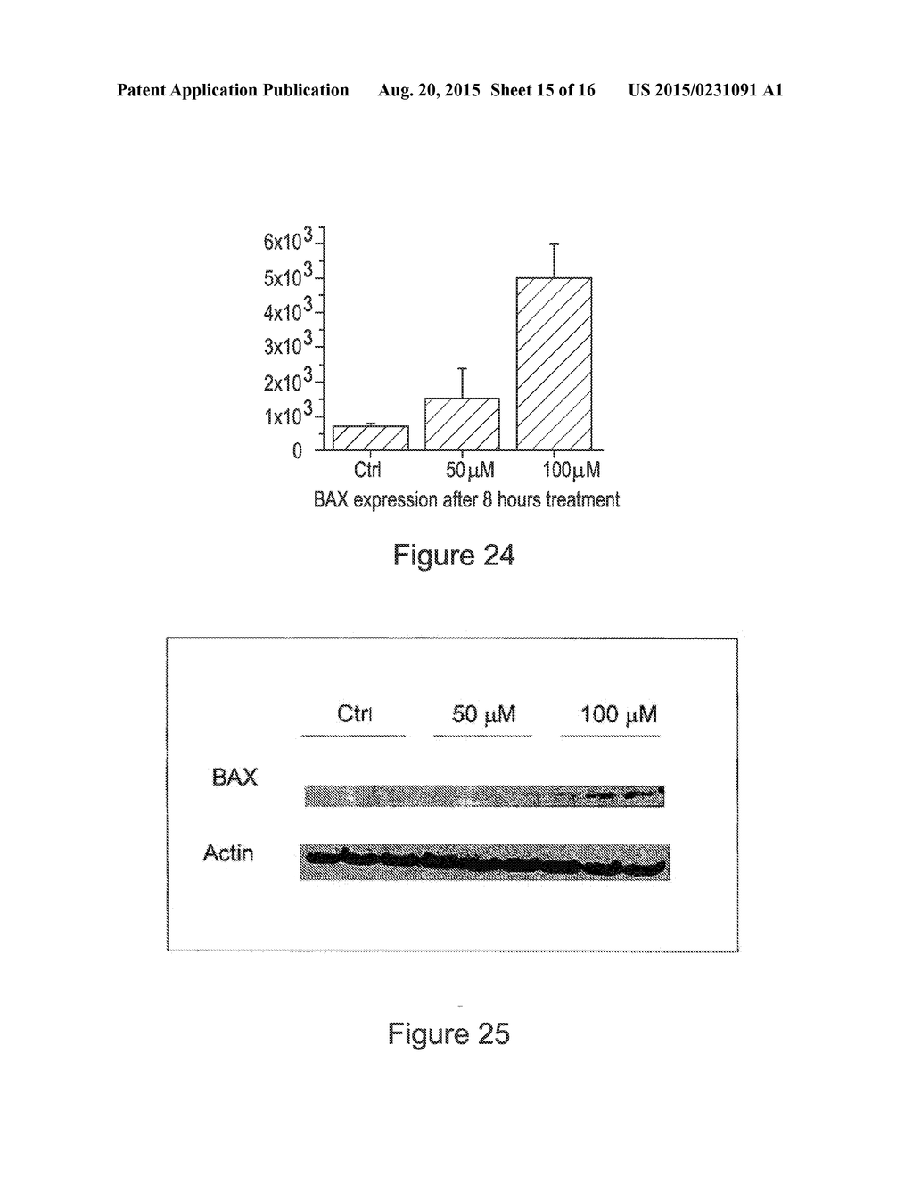 METHODS AND USE OF INDUCING APOPTOSIS IN CANCER CELLS - diagram, schematic, and image 16