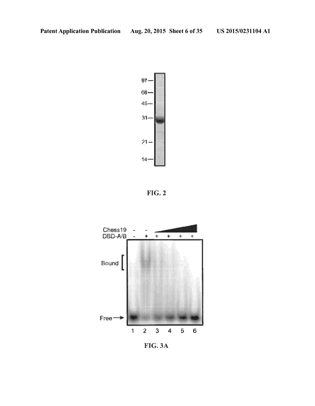 SMALL MOLECULE INHIBITORS OF REPLICATION PROTEIN A THAT ALSO ACT     SYNERGISTICALLY WITH CISPLATIN - diagram, schematic, and image 07