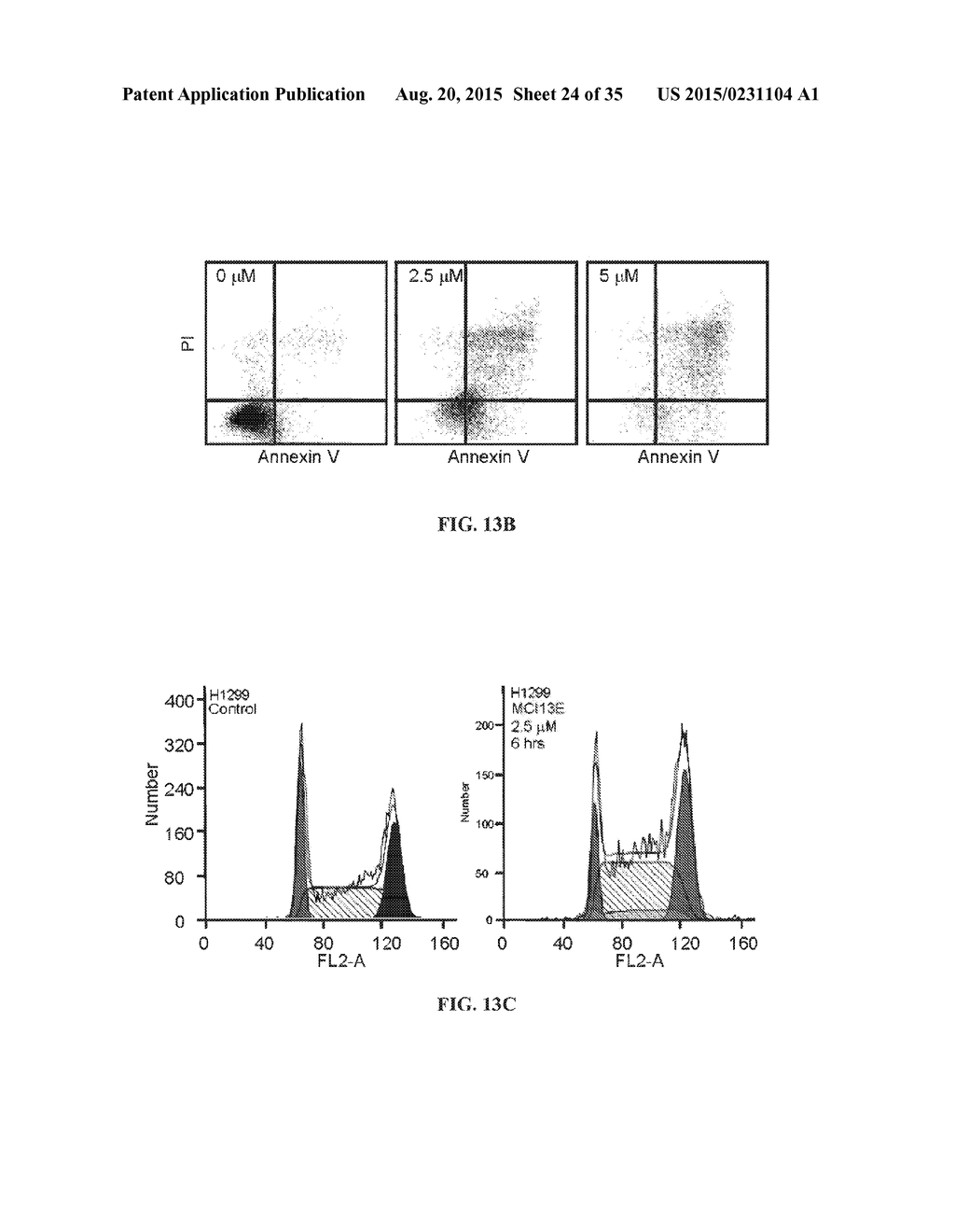 SMALL MOLECULE INHIBITORS OF REPLICATION PROTEIN A THAT ALSO ACT     SYNERGISTICALLY WITH CISPLATIN - diagram, schematic, and image 25